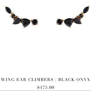 Leah Alexandra Ear climber